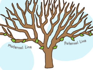 Don't just settle for two branches of your family tree...