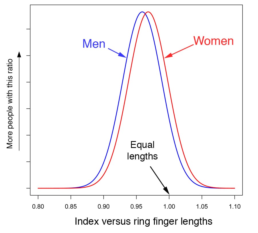 Fingers and Sports: The Unfolding Tale of Digit Ratio! - e-estidotmy