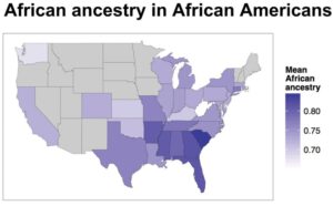African Ancestry in African Americans