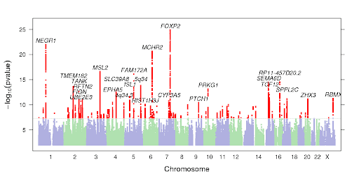 A Manhattan plot showing genetic associations and genes that are strongly associated with a person's sense of humor. FOXP3 was the gene with the strongest association.