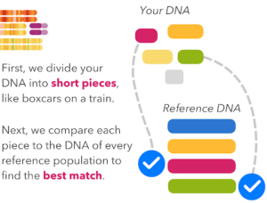 An illustration of compring DNA to reference populations