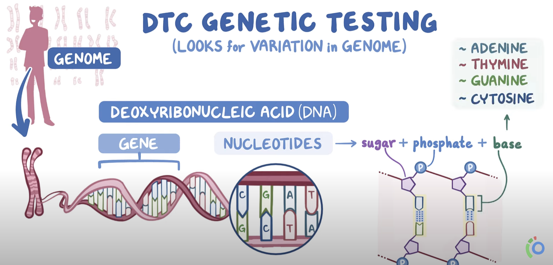 Direct-to-Consumer (DTC) Genetic Ancestry Reports: Why Genotyping is  Essential