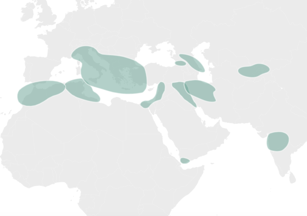 Discovering Your Ancestry: Exploring 58 New Genetic Groups - 23andMe Blog