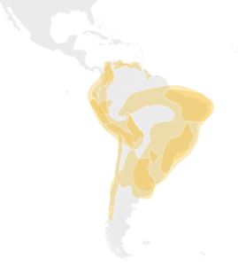 A map of South America illustrating the locations of the Indigenous South American Genetic Groups