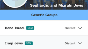An image showing Sephardic and Mizrahi ancestral distant genetic groups.