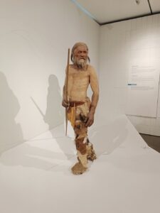 An image of a life like model of Otzi on dislay at the Otzi museum in Bolzano Italy.