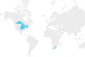 Map depicting the location of Genetic Groups in North America and South Africa